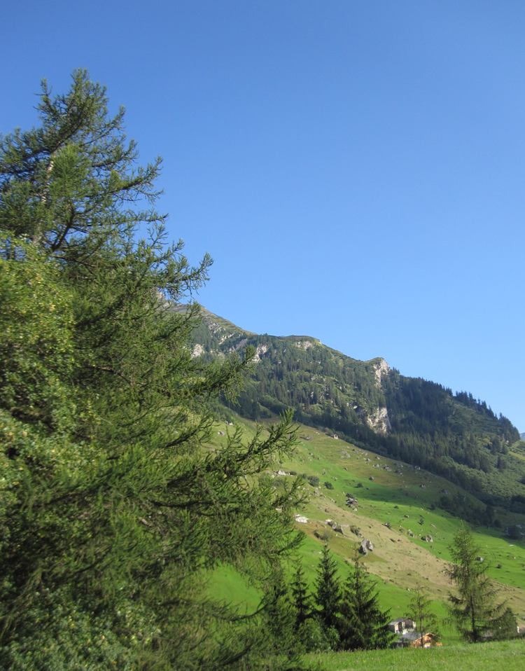 グラウビュンデンの山岳地帯