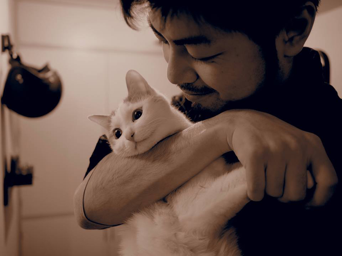 猫と人見智さん
