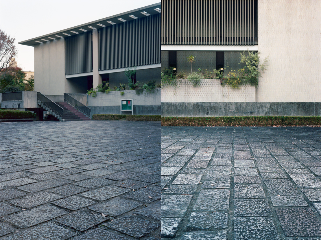 日本近代文学館の前庭の石畳