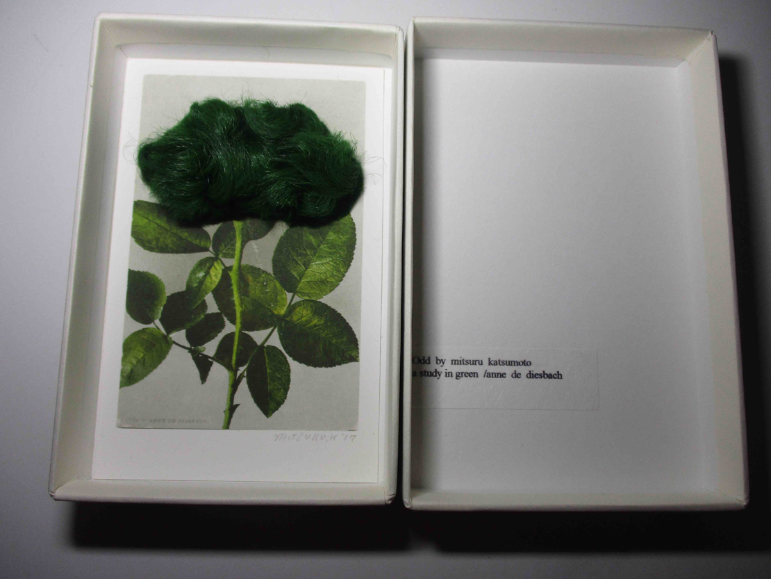 勝本みつるのOdd by Mitsuru Katsumoto「a study in green／anne de diesbach 」