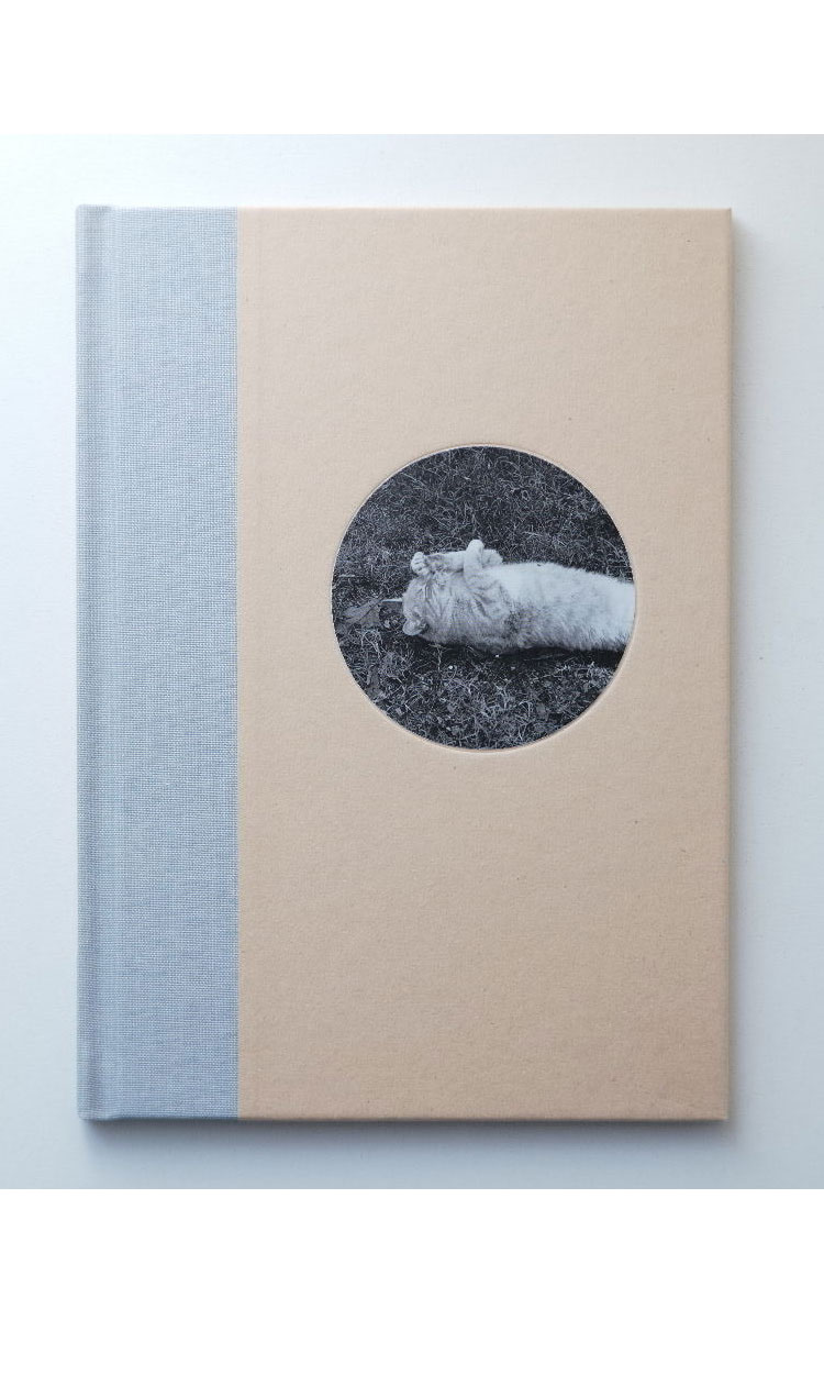 cats』マーク・シュタインメッツ／Nazraeli Press（2019） | OIL MAGAZINE