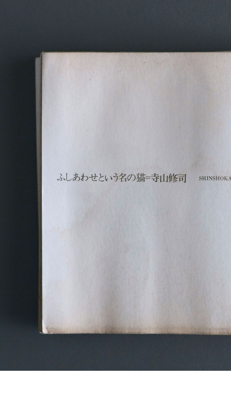 BOOK GUIDE：『ふしあわせという名の猫』<br>寺山修司／新書館